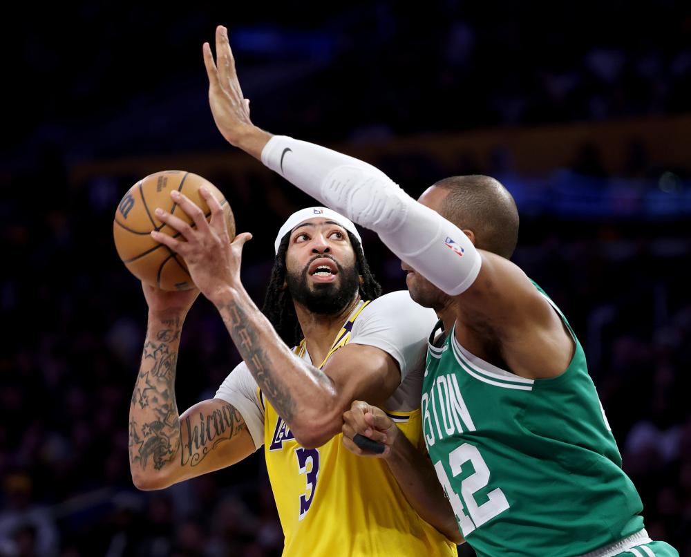 所强调的 所强调的